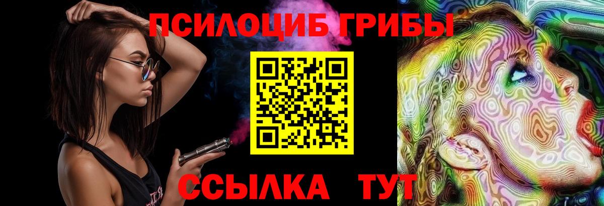 Галлюциногенные грибы Psilocybe Партизанск